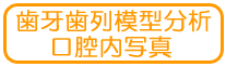 歯牙歯列模型分析口腔内写真