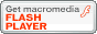 macromediaflashplayer�A�C�R��
